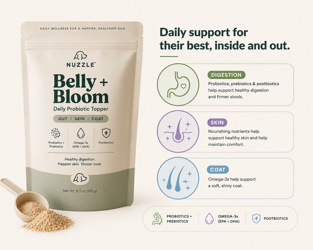 Belly + Bloom Tummy Topper